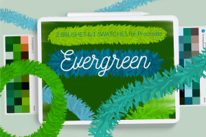 Evergreen Procreate. Christmas tree swatches brush