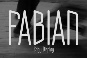 Fabian – Edgy Punk Display