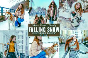 Falling Snow Photoshop Action & Lightrom Presets