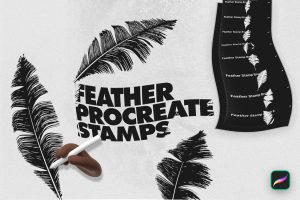 Feather Procreate Stamp Brushes