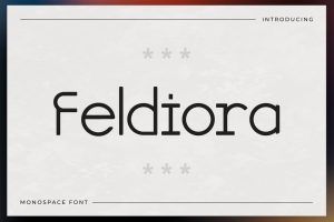 Feldiora – Monospace Font
