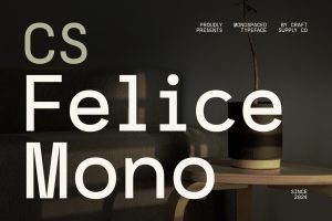 Felice Mono – Monospaced Font