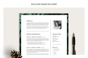 FERNS Resume/CV + Cover Letter
