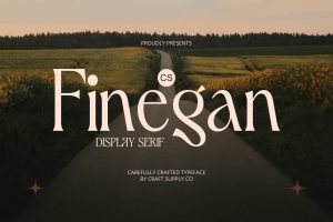 Finegan – Elegant Font