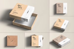Flat Square Box Mock-up