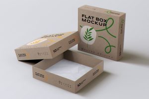 Flat Square Box MockUp