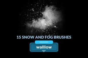 Foggy snow photoshop digital brushes photo effects