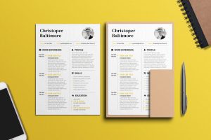 Founder CV Template