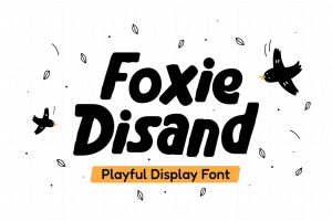 Foxie Disand – Playful Font