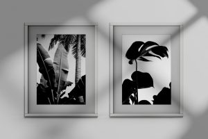Frame Mockup