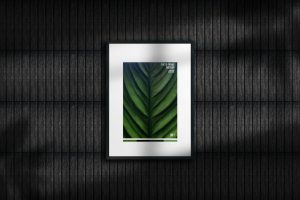 Frame Mockup