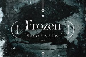 Frozen Photo Overlays Vol. 2