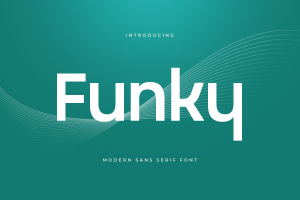 Funky – Modern Sans Serif Font