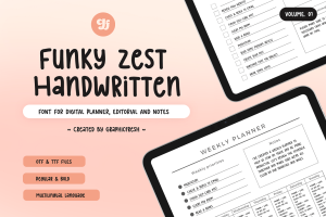Funky Zest – Digital Planner Font