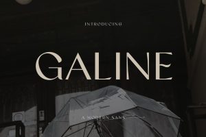 Galine Modern Luxury Font