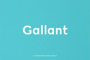Gallant – A Geometric Typeface