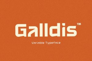 Galldis – Variable Sans Serif Font