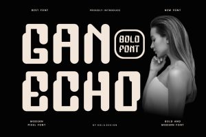 Ganecho – Pixel Font
