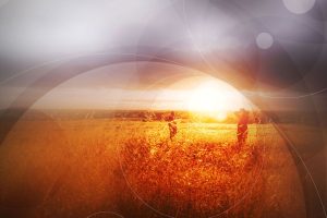 Geometric Haze Photoshop Action