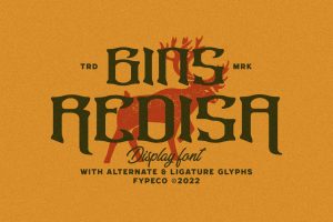 Gins Redisa – Medieval Display Font