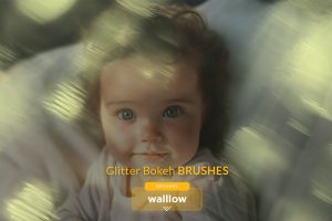 Glitter Bokeh lights photoshop brushes