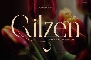 Glizen Elegant Serif Font