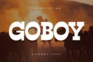 Go Boy – Cowboy Font