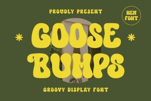 Goosebumps – Display Font