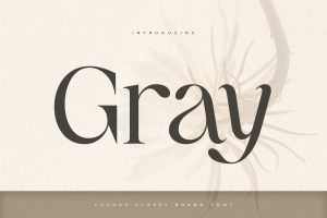 Gray – Luxury Classy Brand Font