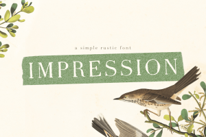 Hand-lettered rustic font
