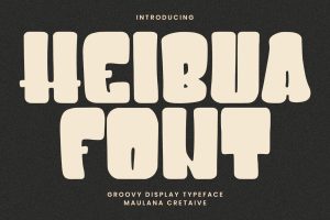 Heibua Groovy Display Typeface