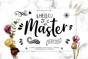 Hello Master Script Font DUO