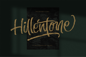 Hillentone – Brush Font