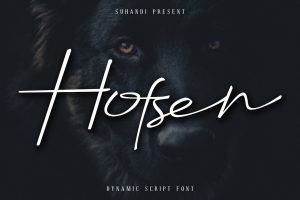 Hofsen Brava Script Font