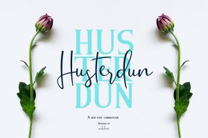 Husterdun Font Duo