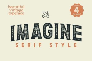 Imagine Serif Font Vol.2