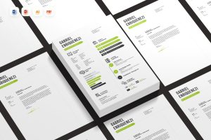 Infographic Resume CV