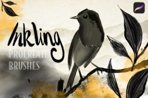 Inkling – Procreate Inking Set