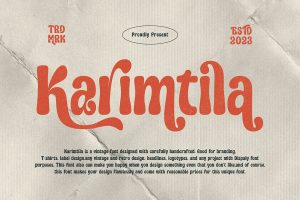 Karimtila Vintage Groovy Font