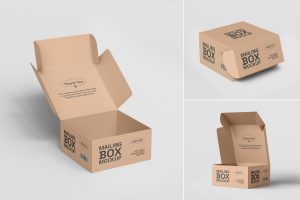 Kraft Paper Mailing Box Packaging Mockup Set