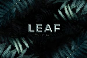 Leaf Overlays