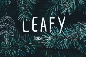 Leafy Brush Font