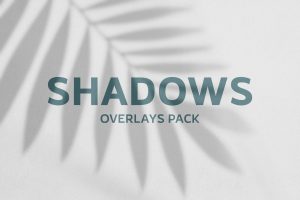 Leaves Shadows Overlays