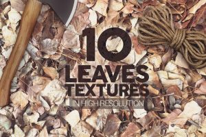 Leaves Textures x10