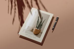 Letterhead Mockup