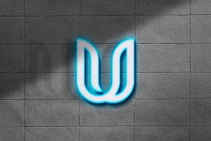 Logo Mockup