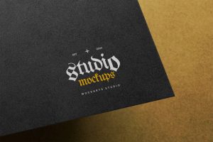 Logo Mockup