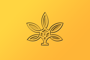 Logo Mockup