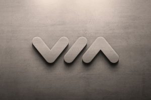 Logo Wall Mockup