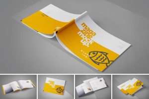 Magazine Mockup